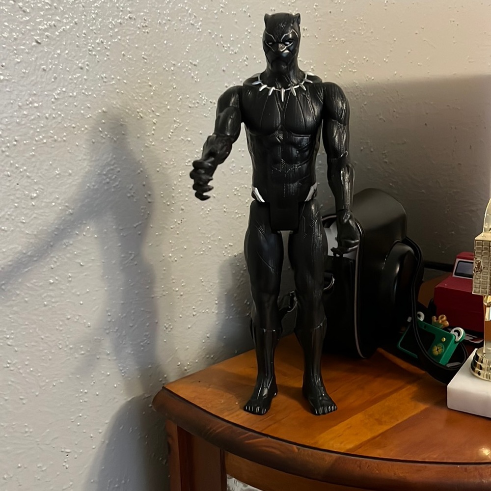Black panther Titan heroes